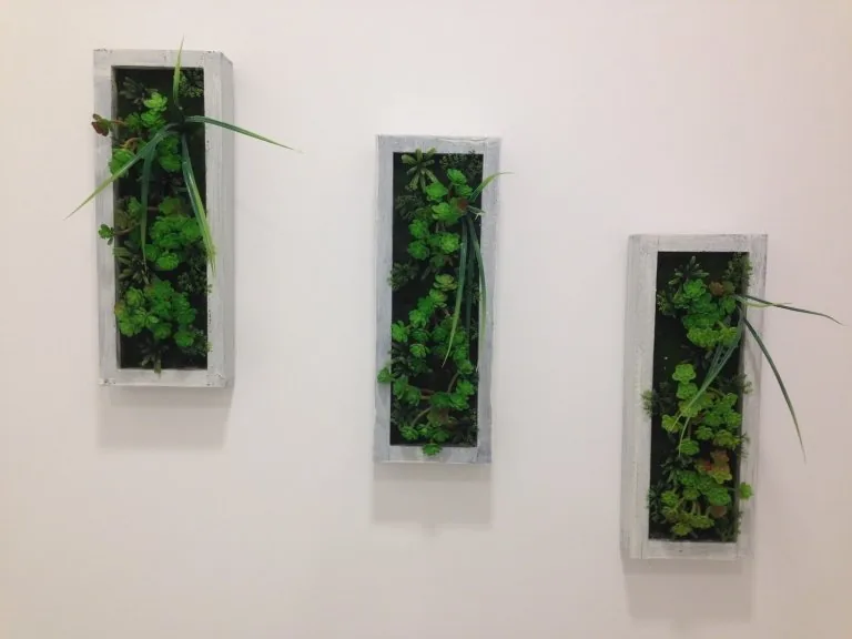 Decoración vegetal del centro nutricional